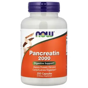 NOW Foods Pancreatin 2000  Capsules
